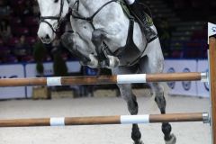 2014-03-15-Warsaw-Cavaliada-0533-Andrzej-Gloskowski-POL-Canoso