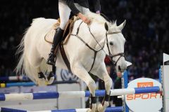 2014-03-16-Warsaw-Cavaliada-0871-Tiit-Kivisild-EST-Cinnamon