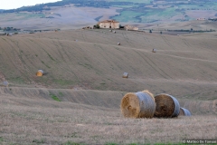 2015-09-19-Toscana-2204