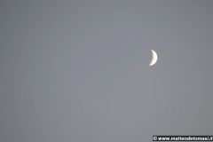 2009-08-25-Rodi-538