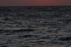 2009-08-28-Rodi-266