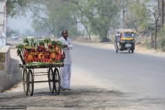 2011-03-21-India-005