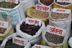 2011-03-21-India-164-Haridwar