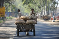 2011-03-22-India-117