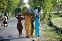 2011-03-22-India-472