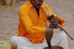 2011-03-24-India-239-Amber-Amber-Fort