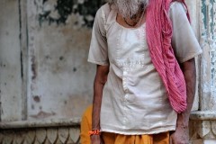 2011-03-25-India-788-Jaipur-Galta-Monkey-Temple