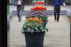 2014-04-30-Amsterdam-226