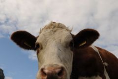 2011-10-13-Switzerland-016-Meiringen