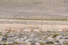 2011-08-23-Peru-0002-Laguna-de-Pampa-Blanca