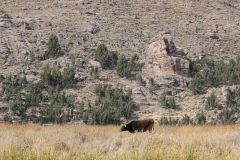 2011-08-25-Peru-0053