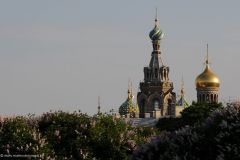 2013-06-05-Saint-Petersburg-0133-Church-of-Our-Savior-on-the-Spilled-Blood