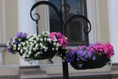 2013-06-06-Saint-Petersburg-0195