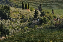 2015-09-17-Toscana-1325-San-Gimignano