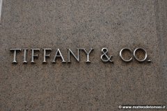 2008-05-03-New-York-301