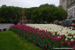 2008-05-03-New-York-311