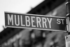 2013-04-09-New-York-0755-Little-Italy